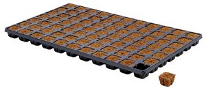 Eazy Plug CT77 per tray  77stuks