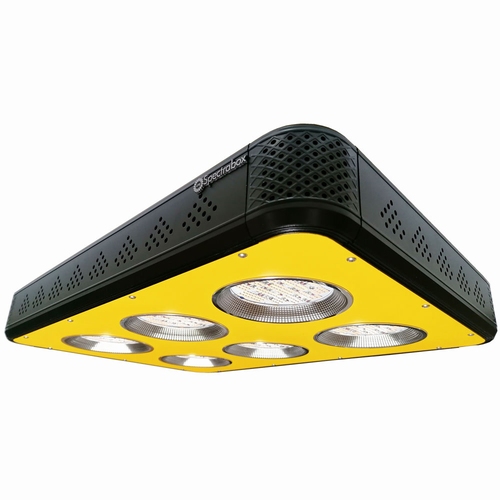 Spectrabox 600watt XTReme