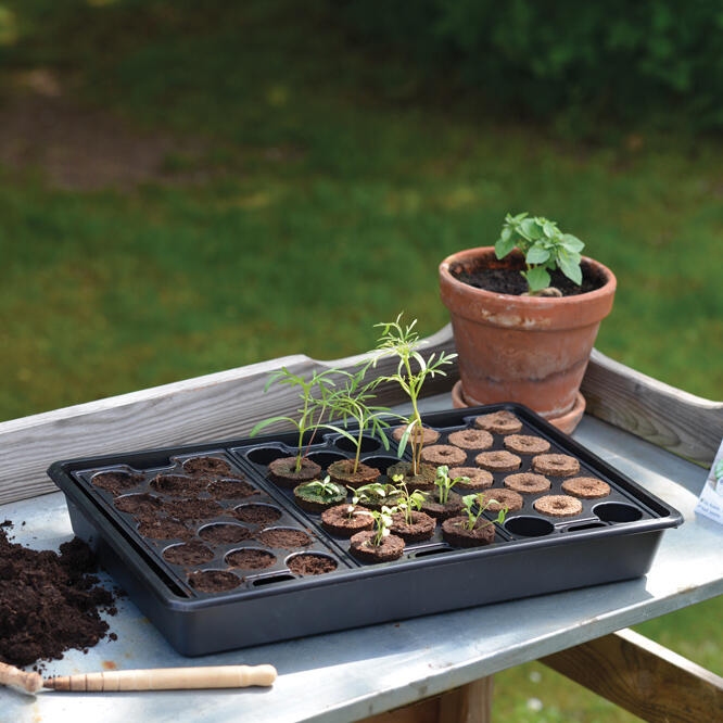 Nelson Garden Teeltplug 14 stuks