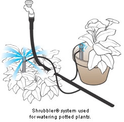 Shrubbler verstelbare sproeier Steker 360 adjustable 25x