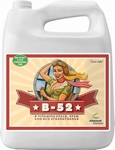 Advanced Nutrients B-52 250 ml