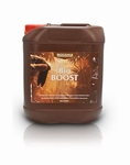 Biocanna Bio Boost 5 ltr.